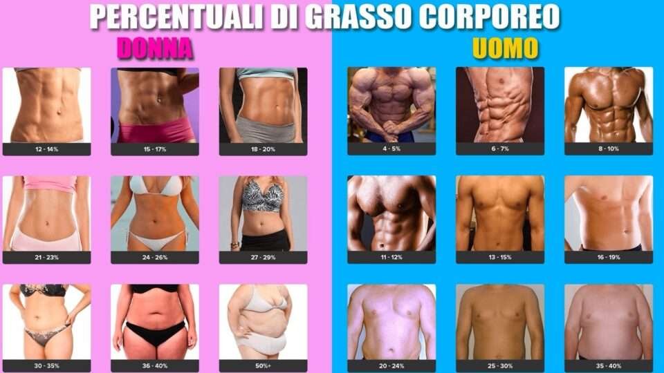 La Fisiologia della Perdita di Grasso: Come il Corpo si Libera degli Eccessi 1 Grasso uomo donna Large