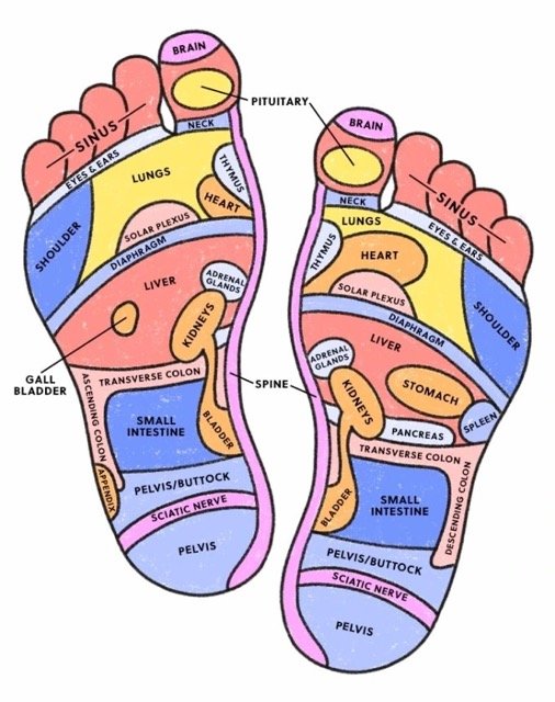 Riflessologia Plantare 1 foot reflexology chart Medium